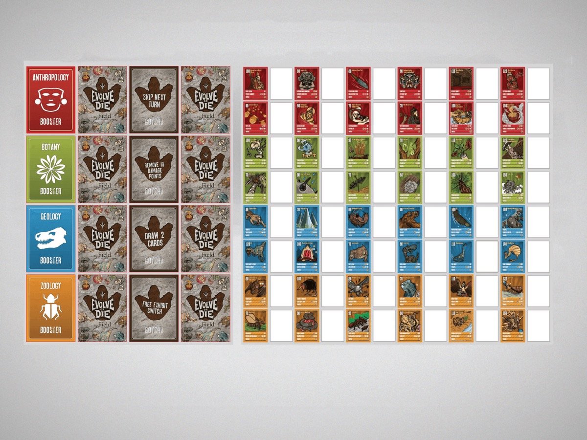 field-museum-specimania — Collaborative Content Creation (3 of 3)