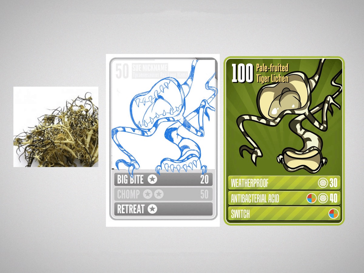 field-museum-specimania — Collaborative Content Creation (2 of 3)